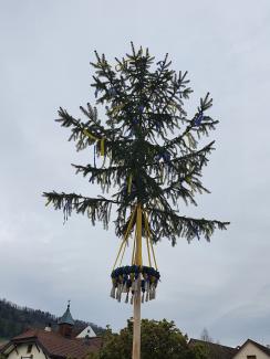 Mai-Baum Känerkinden